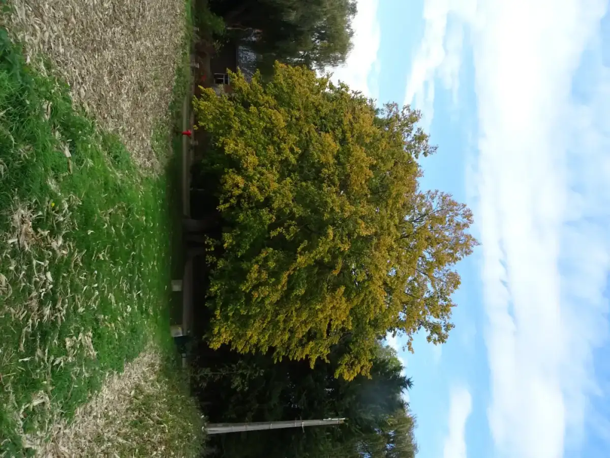 Photo de Aubers