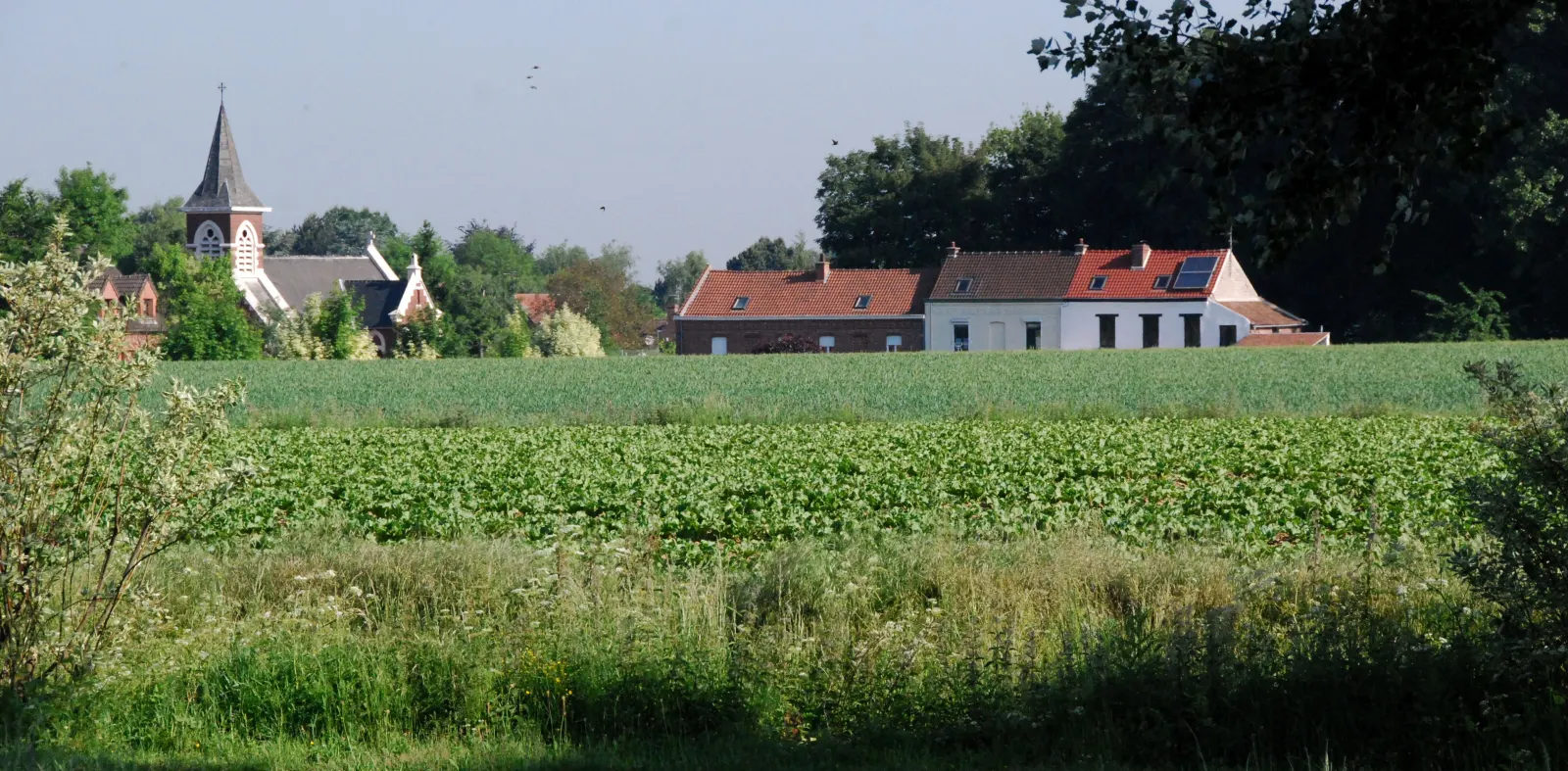 Photo de Escobecques