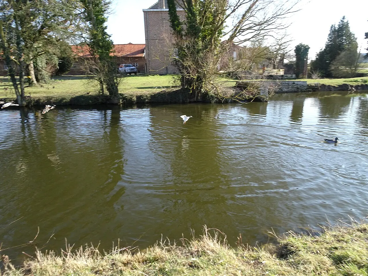 l'étang de la ferme Valmondy Aubers Nord Nord-Pas-de-Calais-Picardie France.