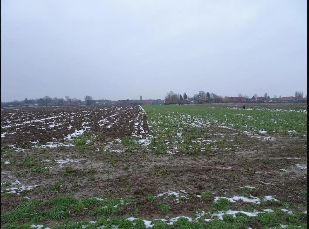 Fournes en Weppes en Bas Flandre (2)