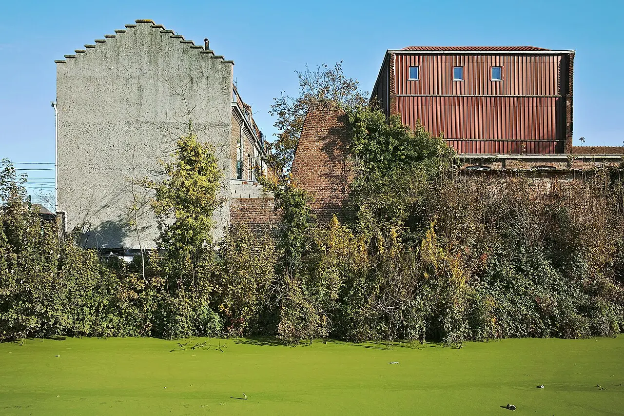 Duckweed on the old canal from the Deûle to Haubourdin.