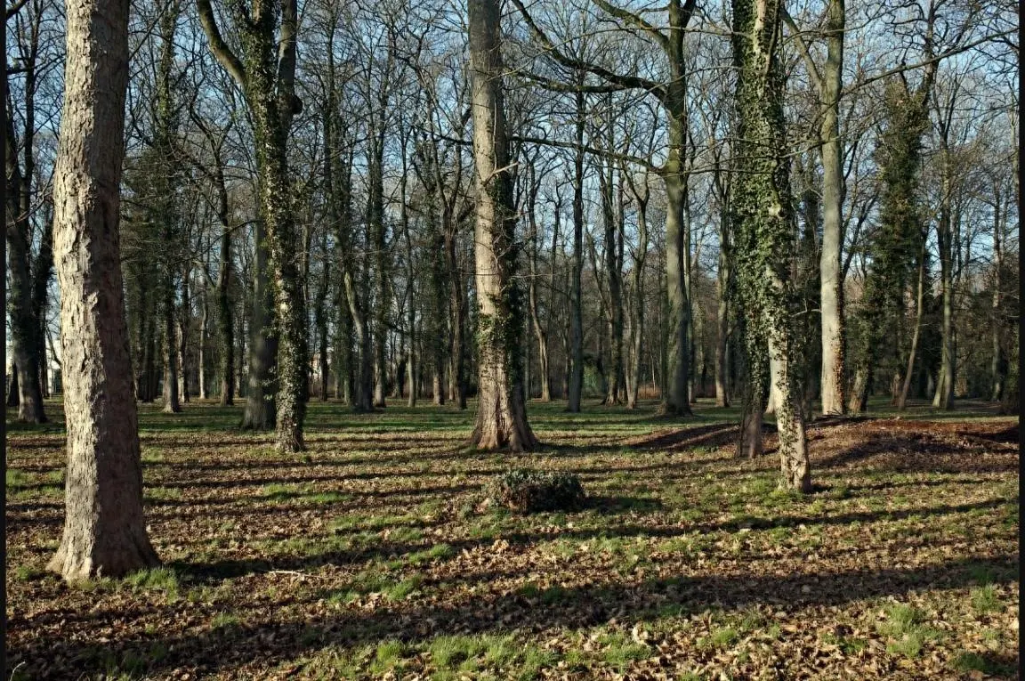 Haubourdin parc heurtebise sous bois