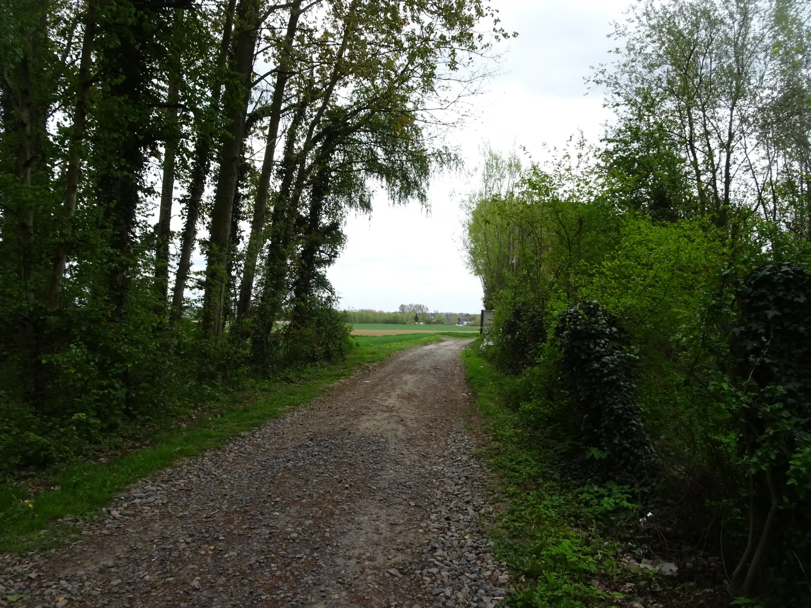Carrière des Combles, Sainghin-en-Weppes