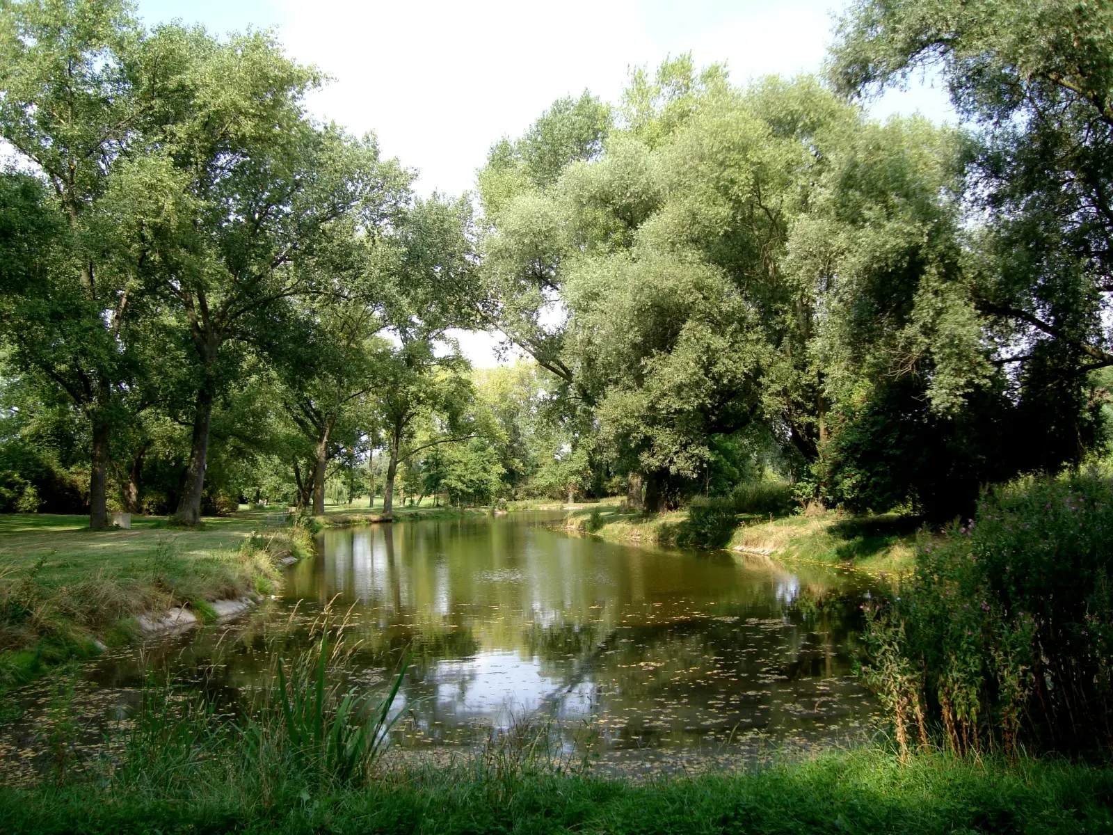 Étang du bourg, Parc de la Deûle à Wavrin