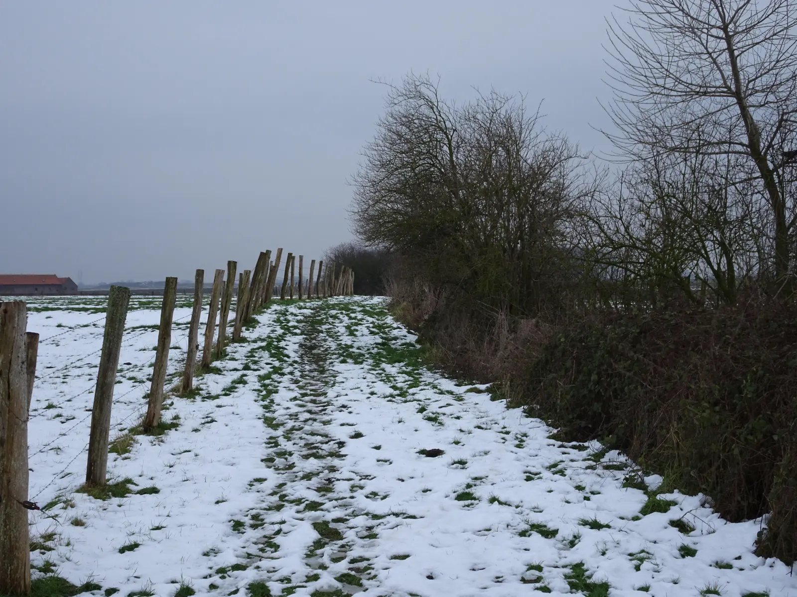 Paysage de Bas-Flandre à Fournes-en-Weppes