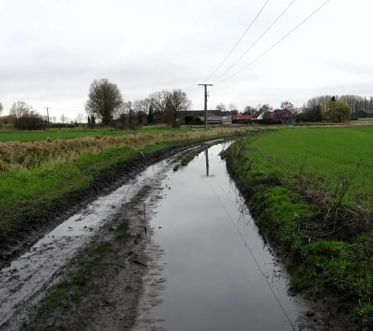 Chemin dans le plat pays