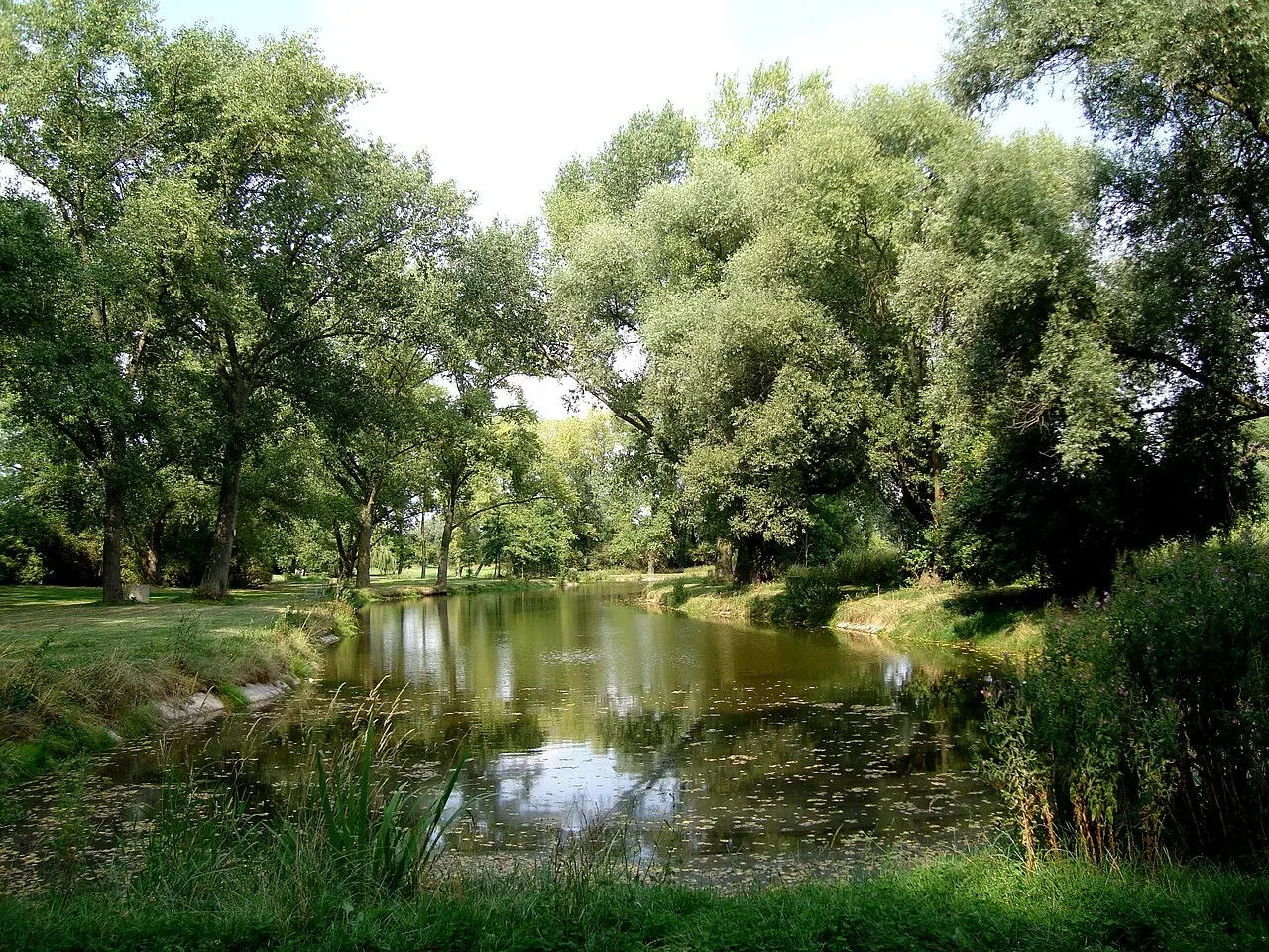 L'étang du bourg dans le parc de la Deûle à Wavrin (Nord).