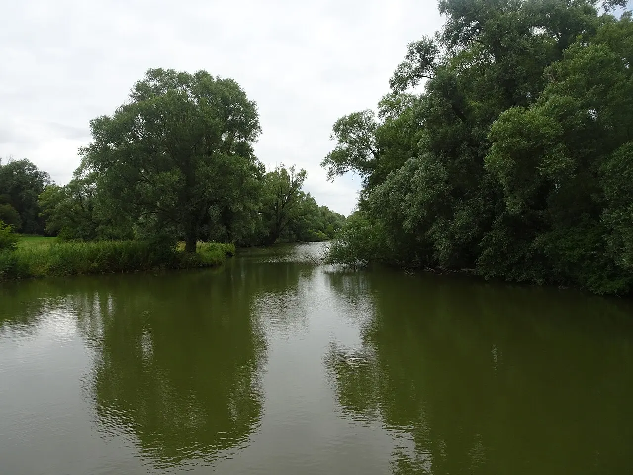 Le marais dans le parc de la Deûle Wavrin Nord Hauts-de-France. France
