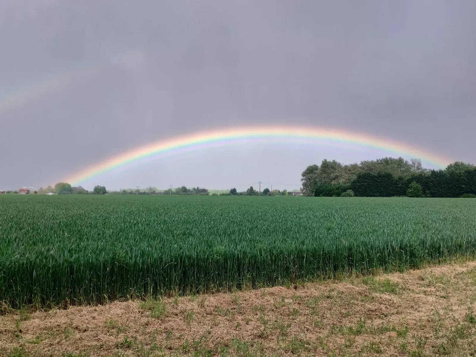 Après l'orage... - 13 mai 2026