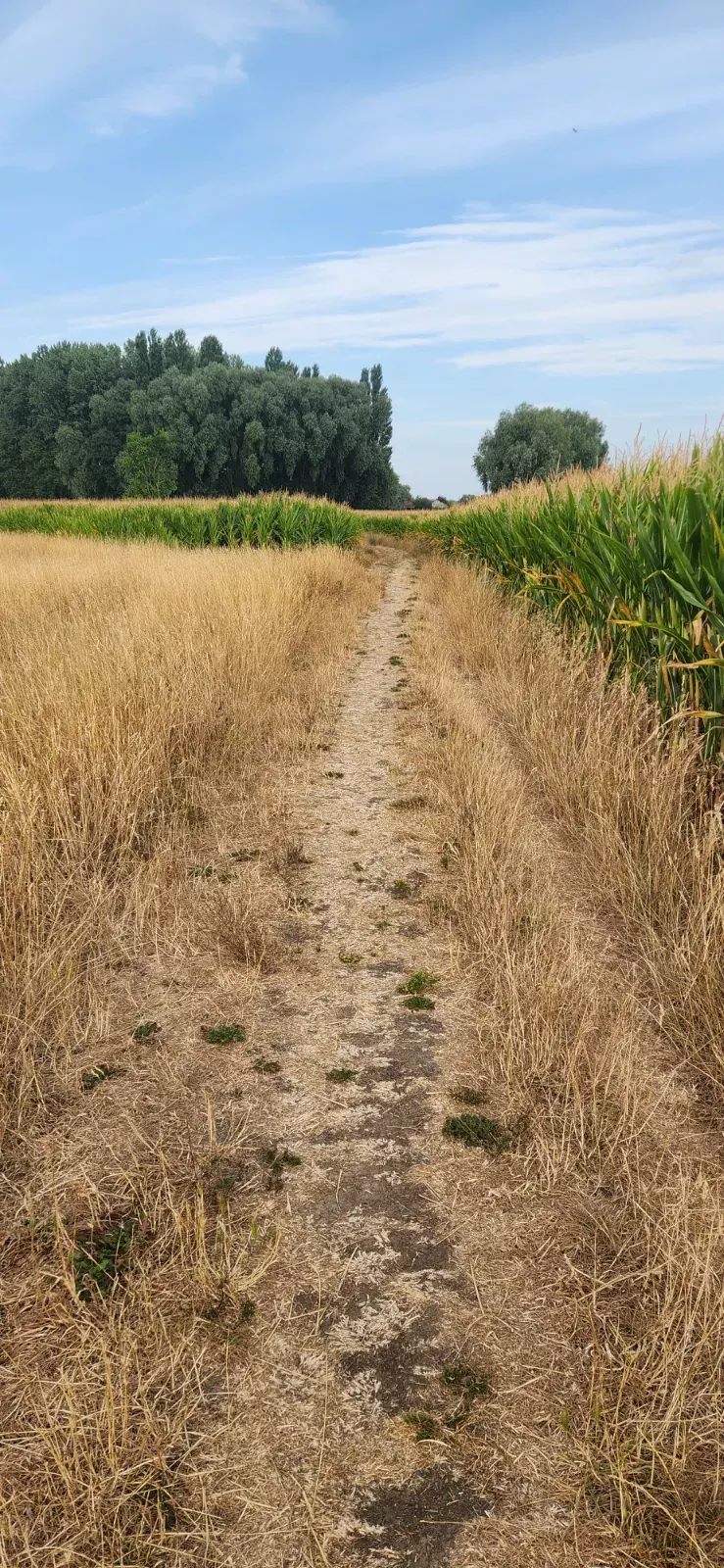 Photo à Sainghin-en-Weppes