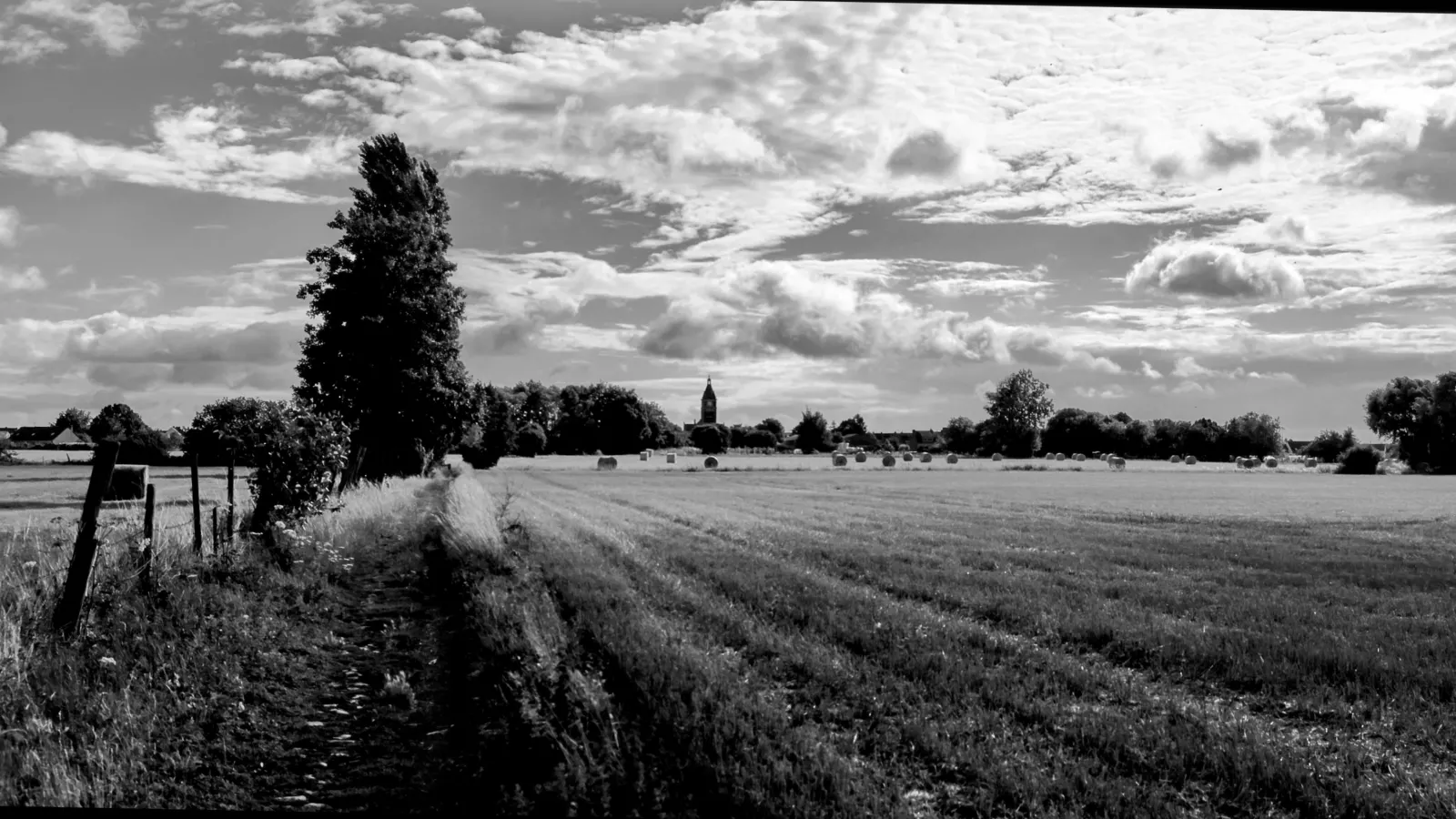 Sur les chemins au petit matin