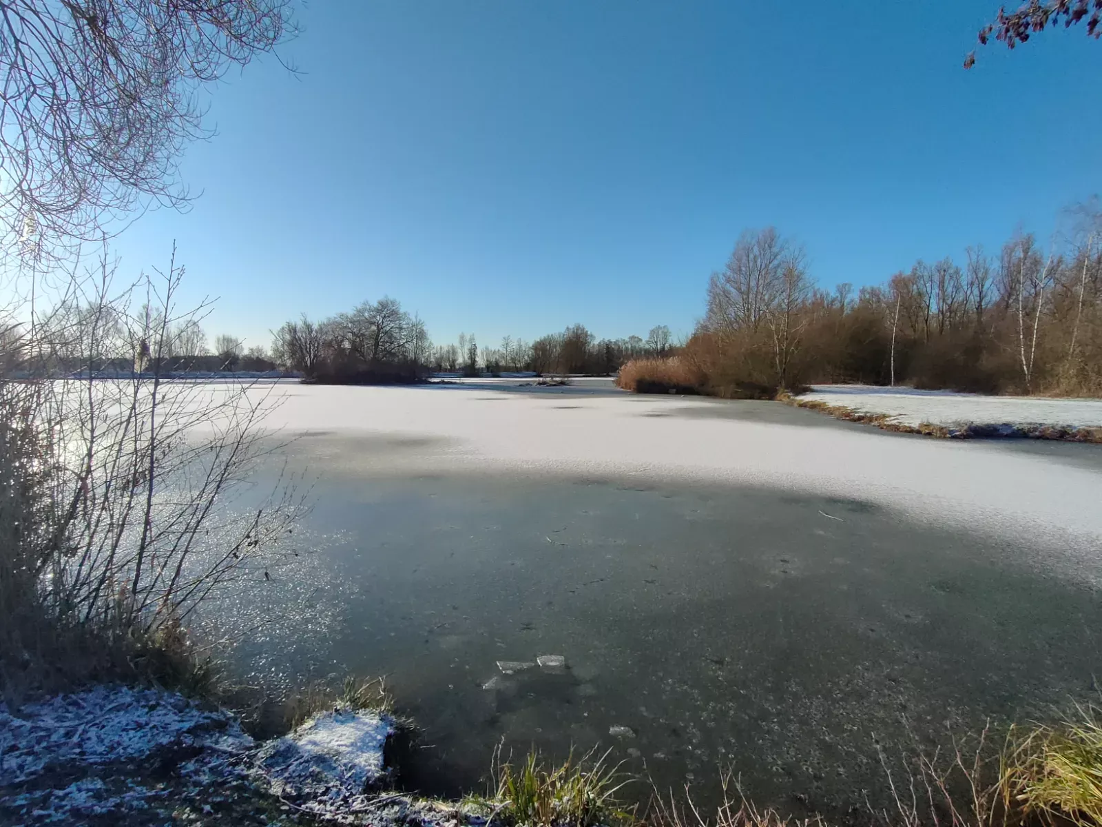 Étangs de la Louvière — photo de Isabelle V.