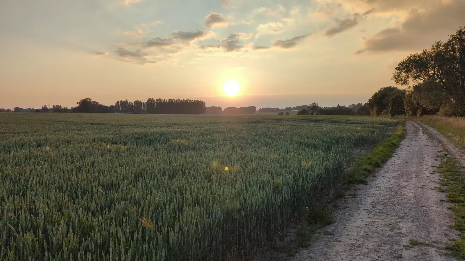 Soleil couchant entre Englos et Ennetières-en-Weppes — photo de Fabian C.