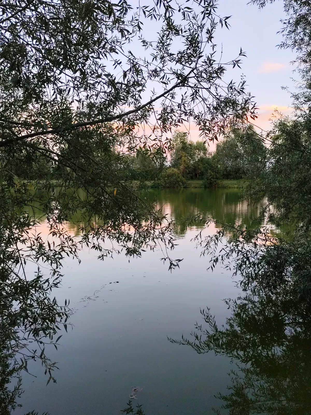 Reflets du ciel rosé sur l'étang de la Louvière — photo de isabelle D.