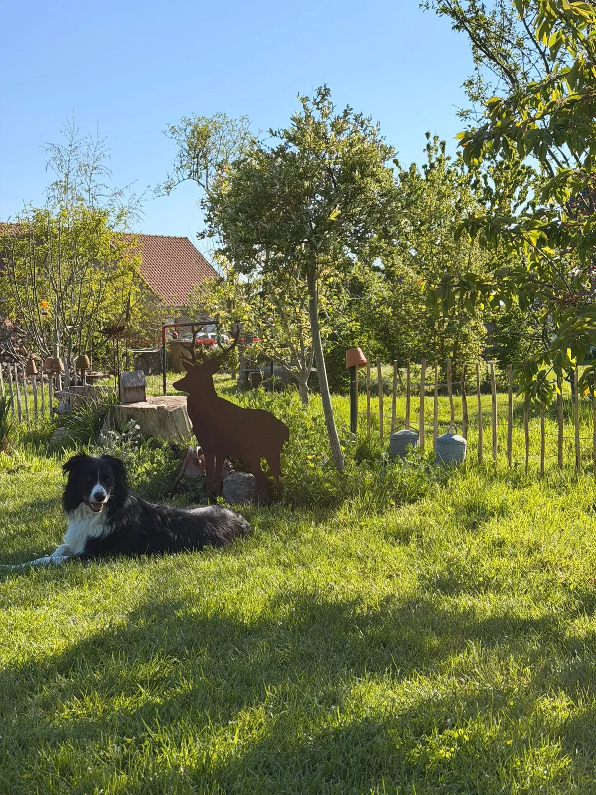 Se poser dans la jardin — photo de Marie Laure B.