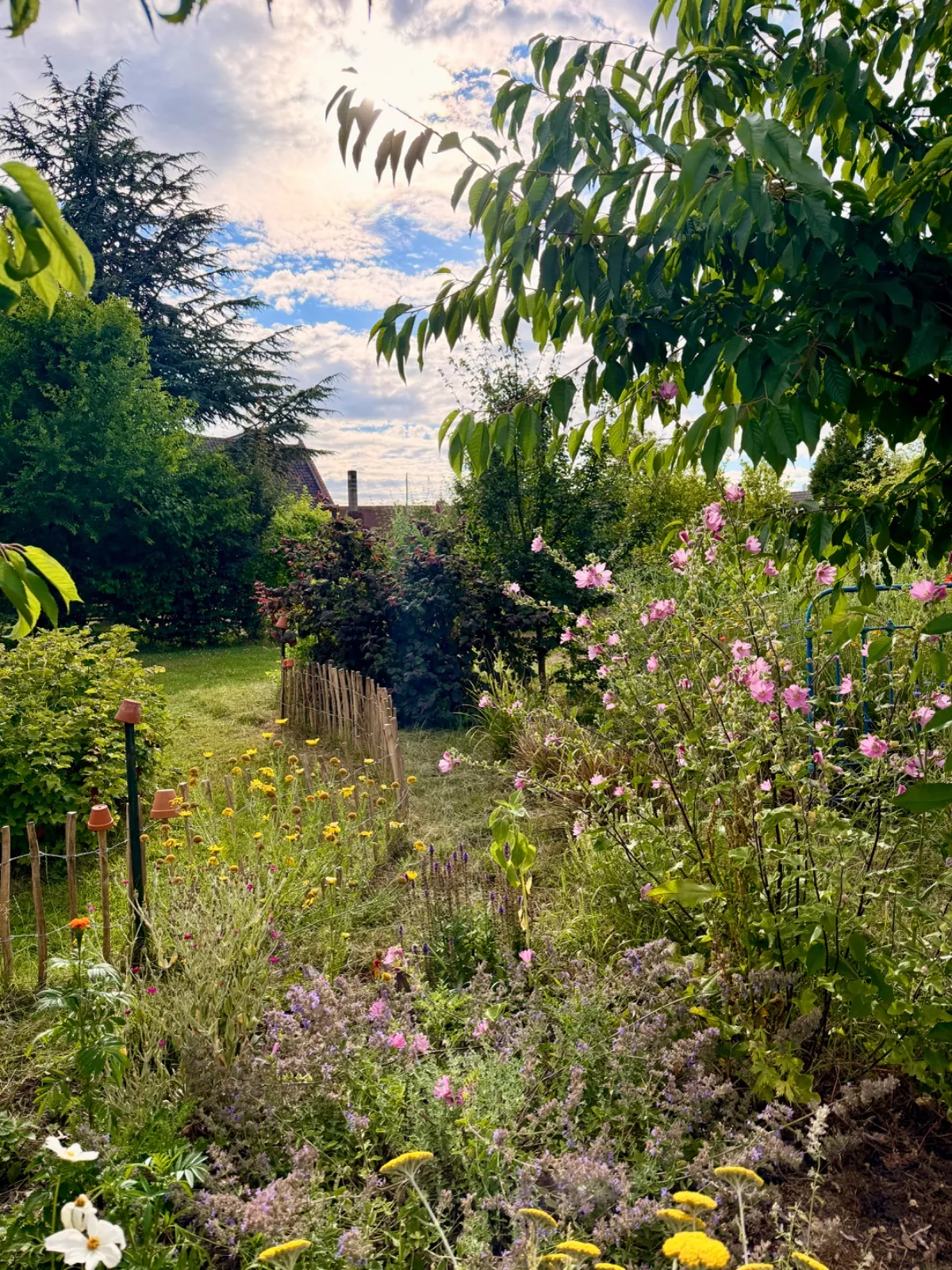 Ballade dans le jardin — photo de Eléonore B.
