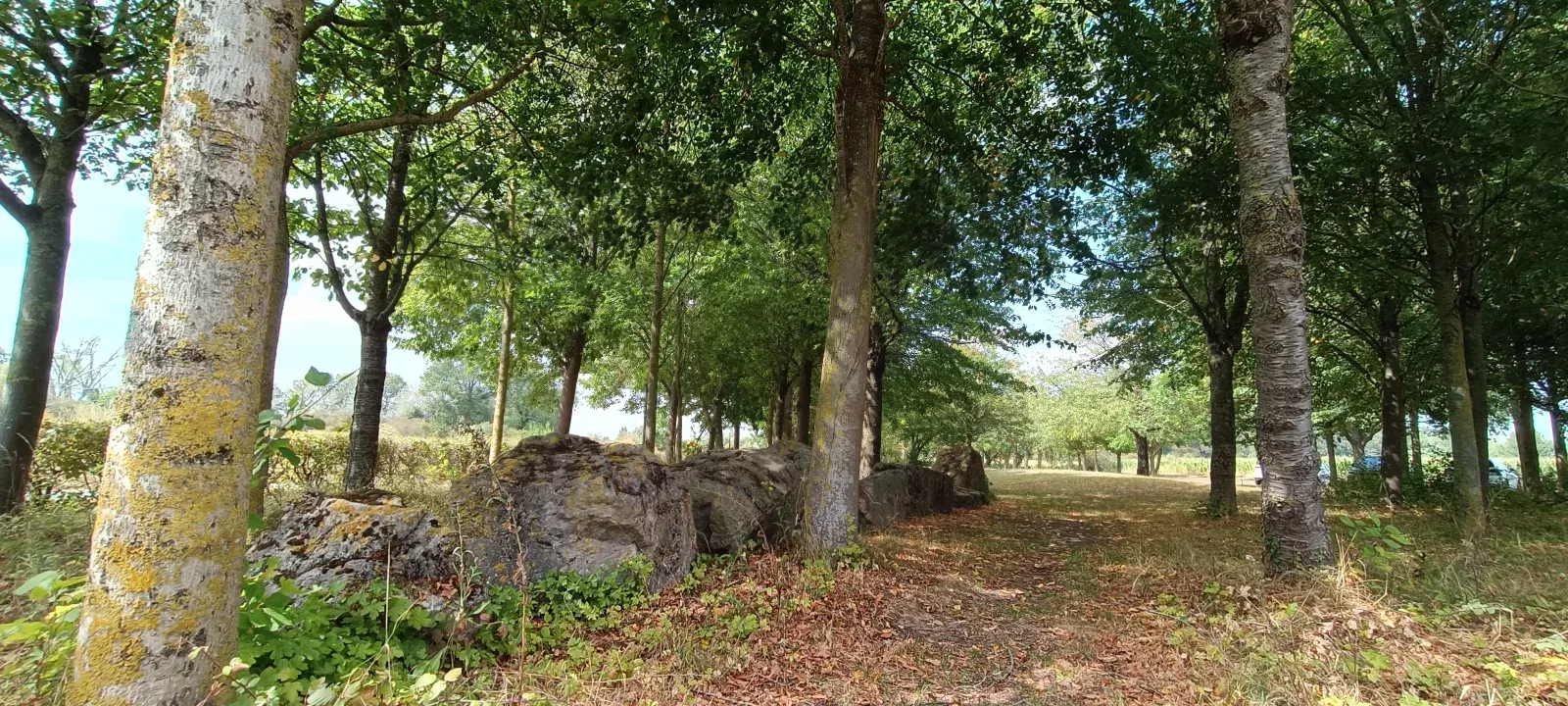 balade au parc de la Deûle — photo de HÉLÈNE H.