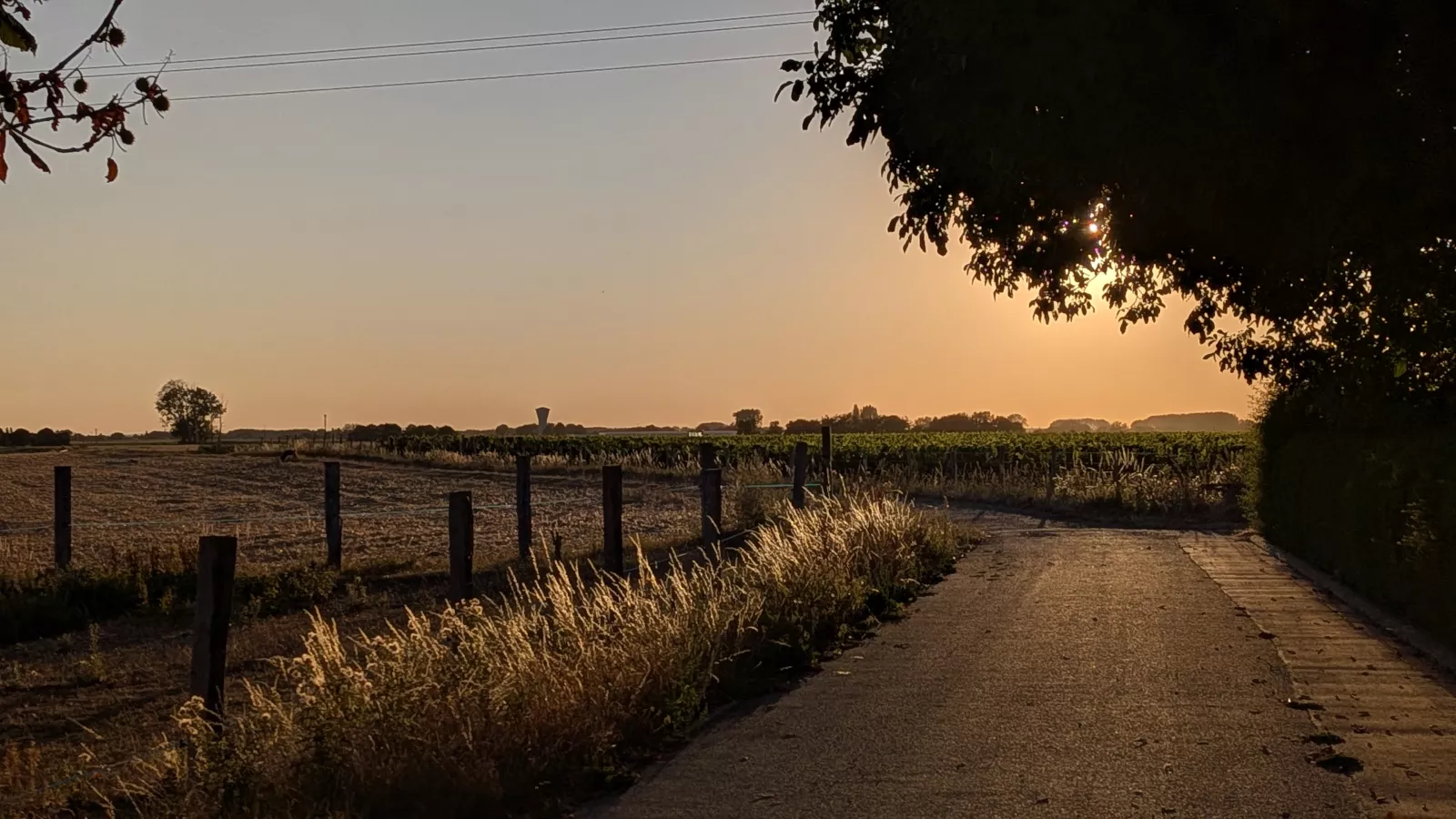 Une soirée sous un soleil éclipsé — photo de Alexandre R.