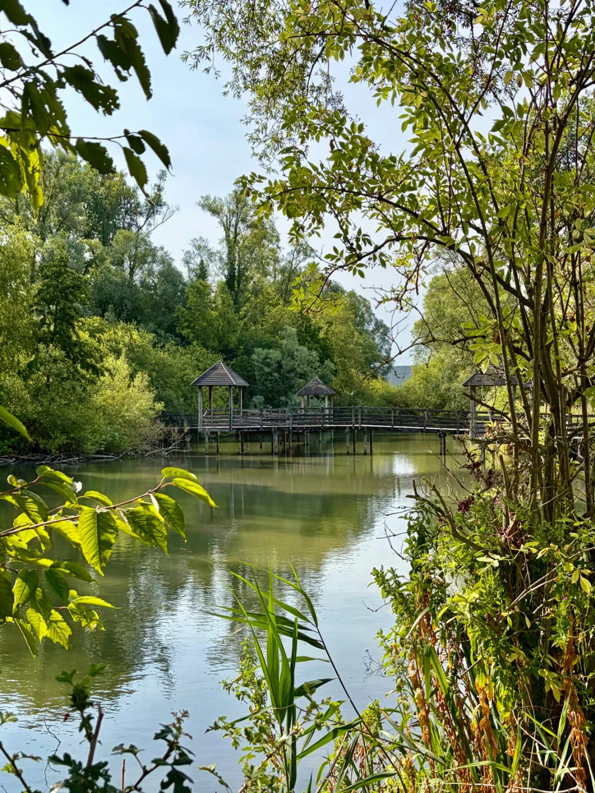 Les passerelles … — photo de Évelyne D.