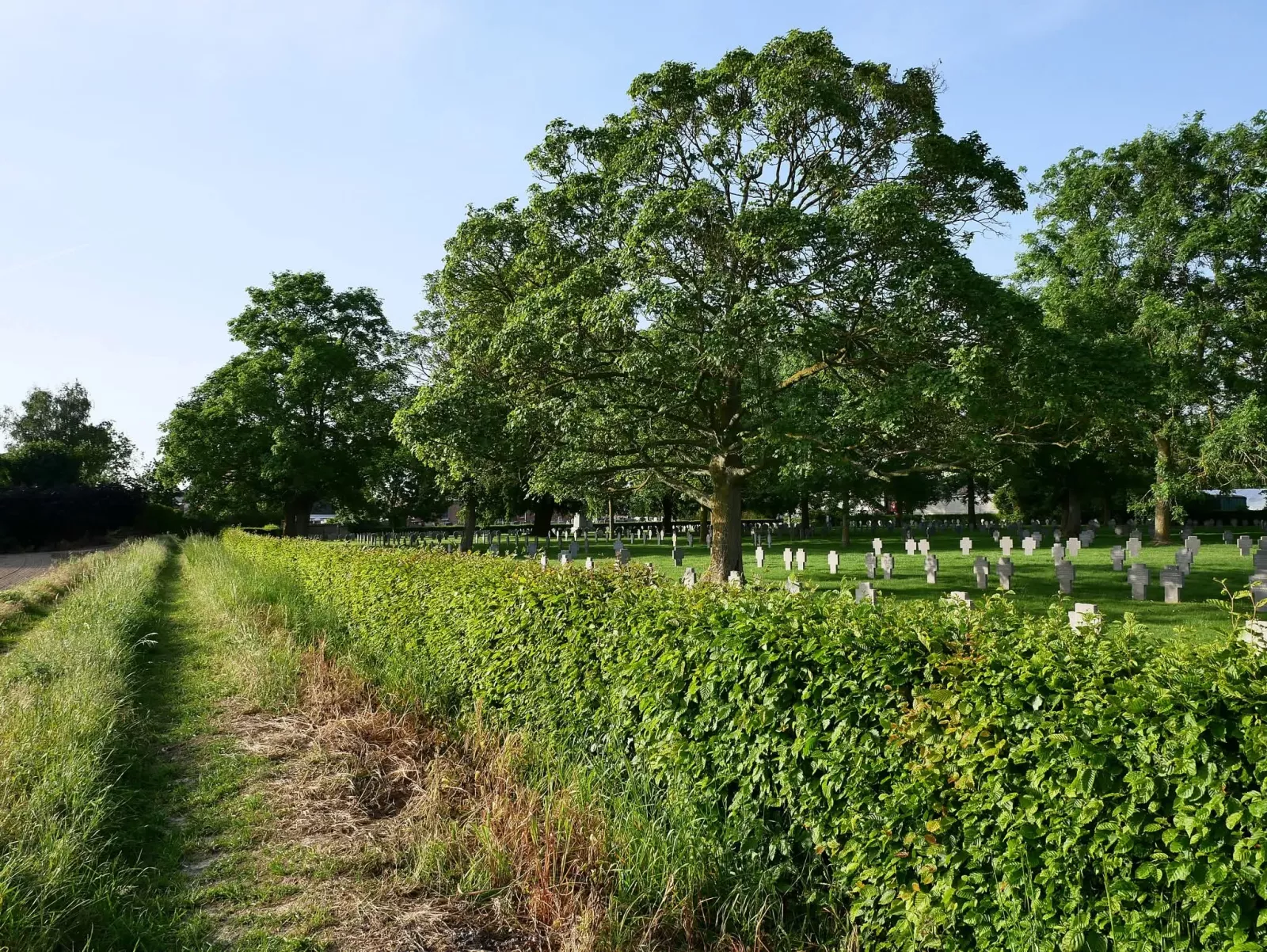Terre de mémoire — photo de JuTsml