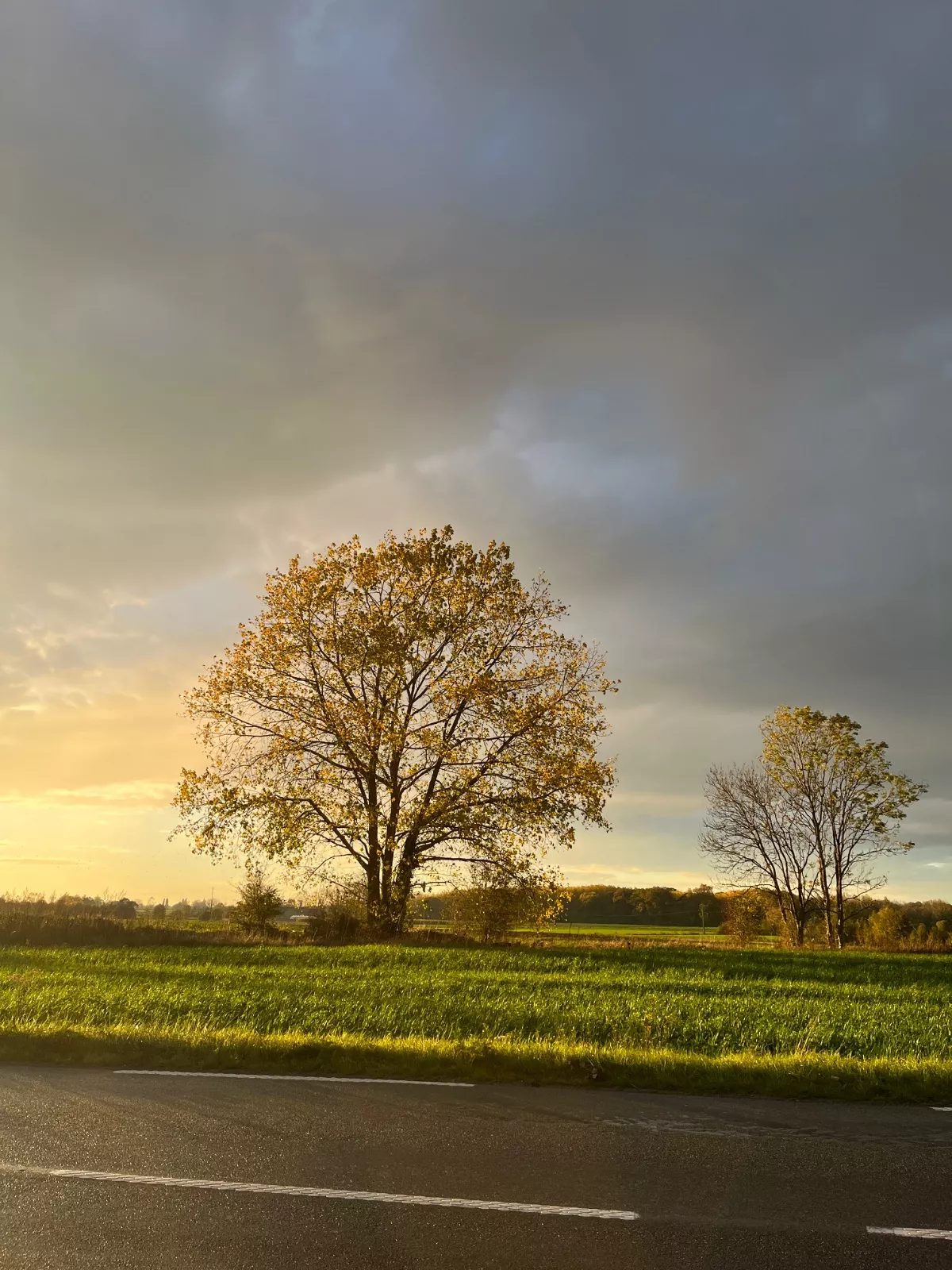 Un après midi d’automne — photo de Celine D.