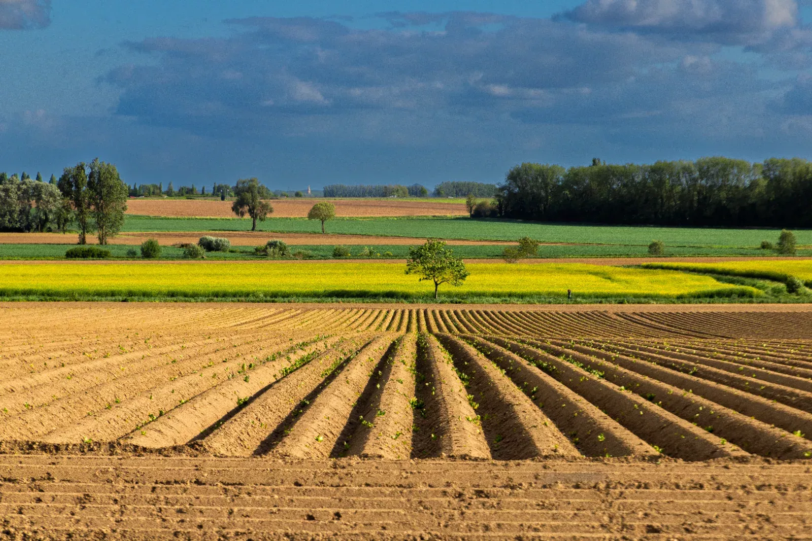 Plaine des Weppes — photo de Pascal D.