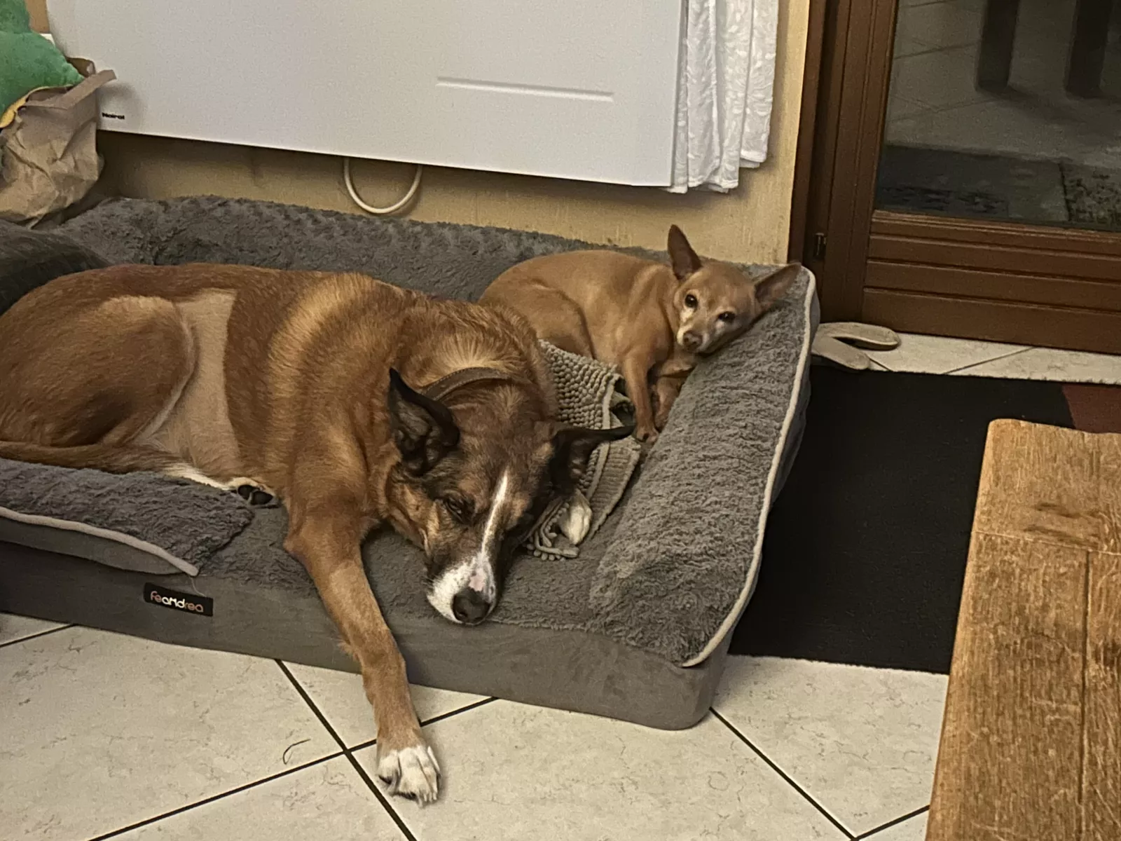Cannelle et Plume