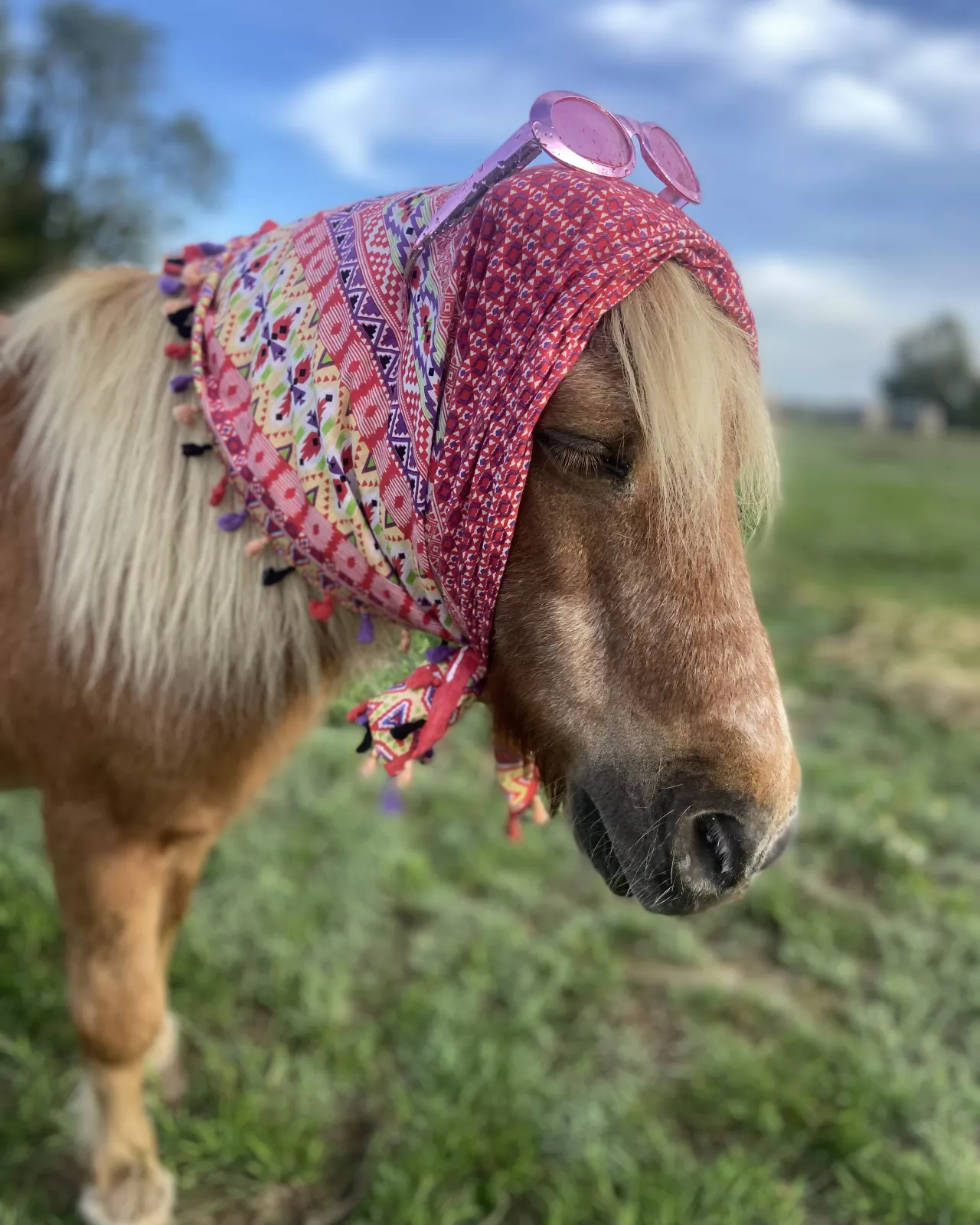 Notre petit Obelix én mode octobre rose