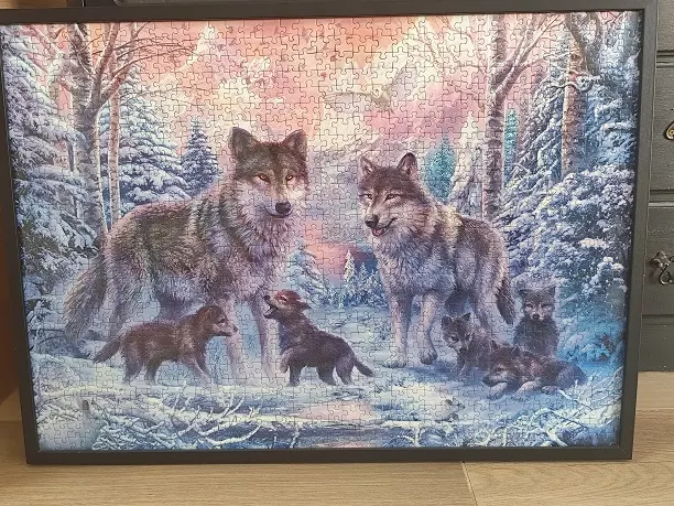 Puzzle 1000 pièces